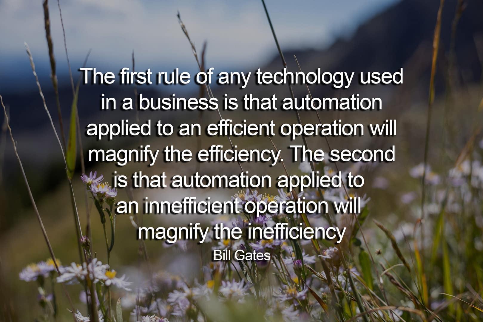 NUUN Creative builds websites CRMs Inventory Management Systems, Scheduling systems